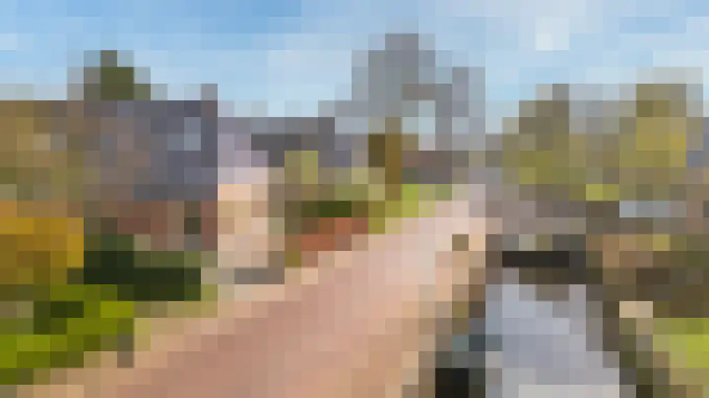 De Wâl 23 Feanwâlden thumbnail 7