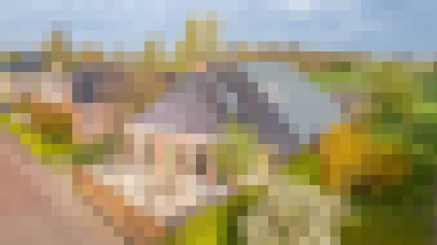De Wâl 23 Feanwâlden thumbnail 9