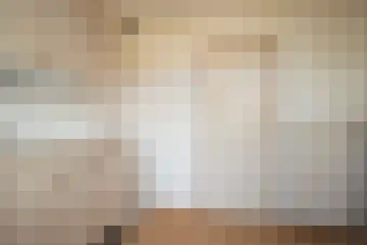 De Wal 3 Vollenhove thumbnail 10