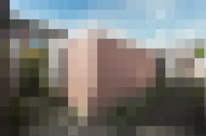 De Wal 3 Vollenhove thumbnail 11