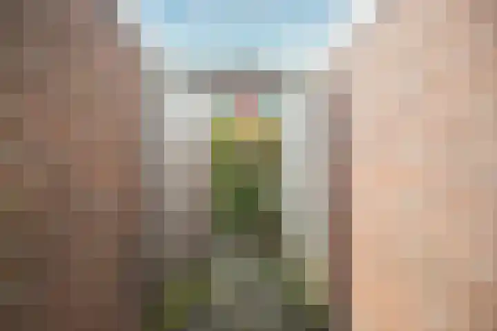 De Wal 3 Vollenhove thumbnail 12