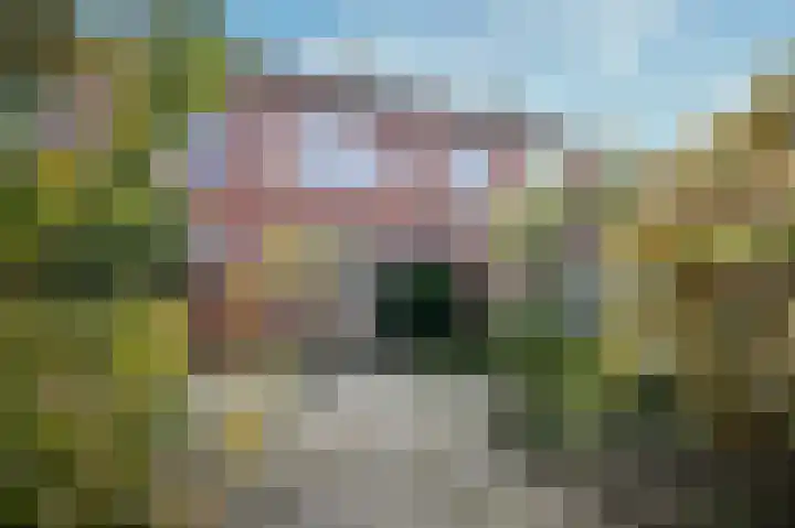 De Wal 3 Vollenhove thumbnail 13