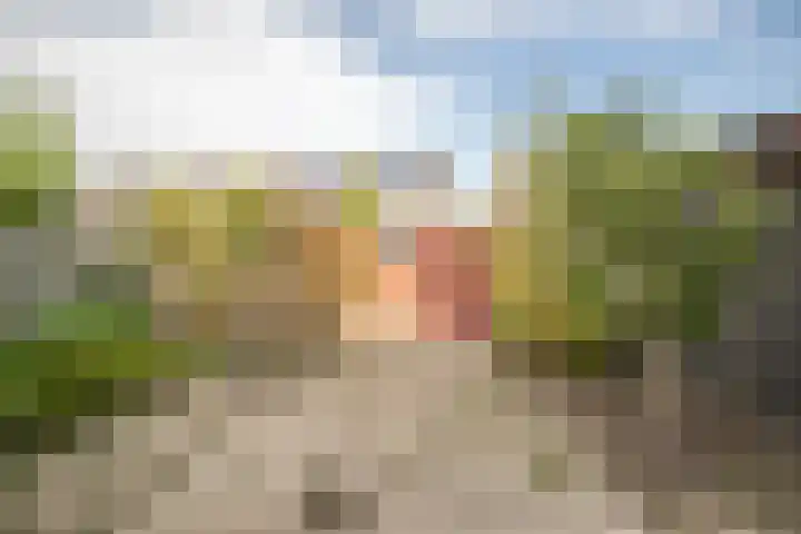 De Wal 3 Vollenhove thumbnail 14
