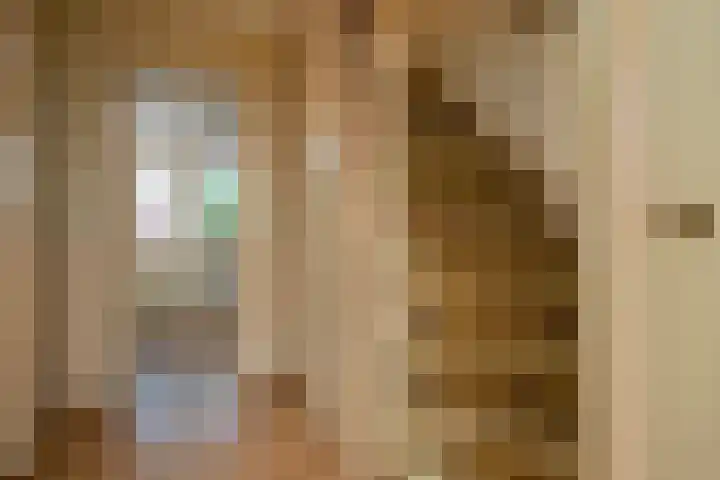 De Wal 3 Vollenhove thumbnail 15