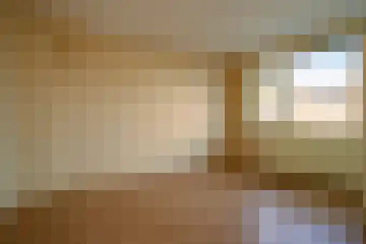 De Wal 3 Vollenhove thumbnail 16