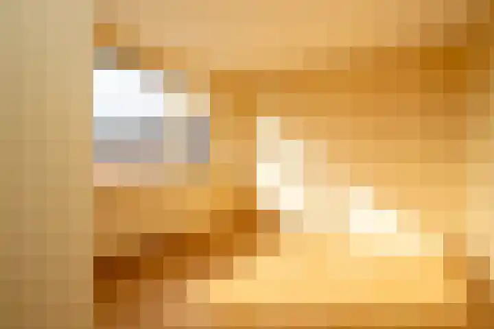 De Wal 3 Vollenhove thumbnail 18