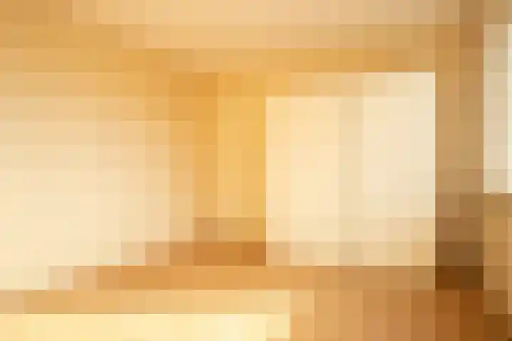 De Wal 3 Vollenhove thumbnail 19