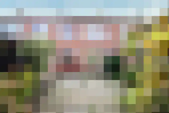 De Wal 3 Vollenhove foto 2