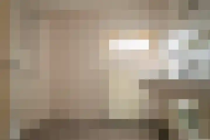 De Wal 3 Vollenhove thumbnail 21