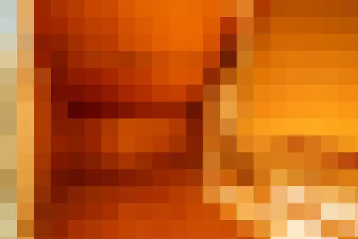 De Wal 3 Vollenhove thumbnail 24