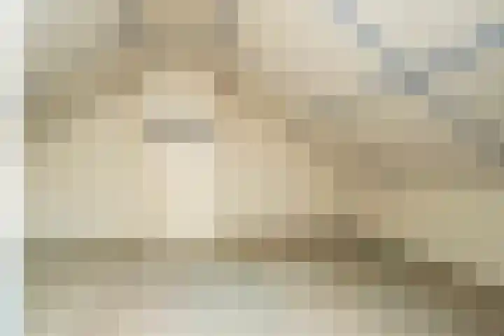 De Wal 3 Vollenhove thumbnail 25