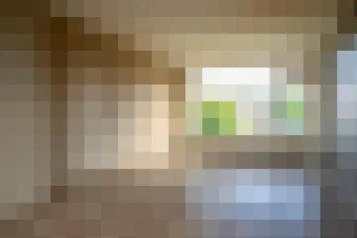 De Wal 3 Vollenhove foto 3
