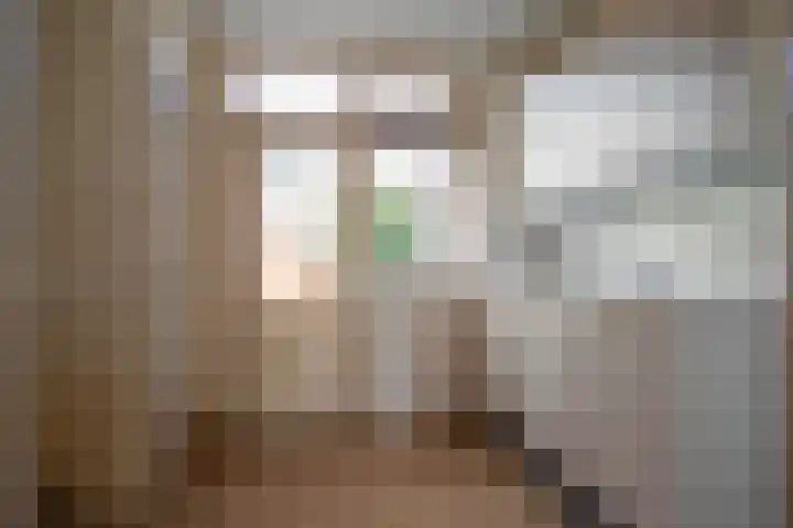 De Wal 3 Vollenhove thumbnail 4