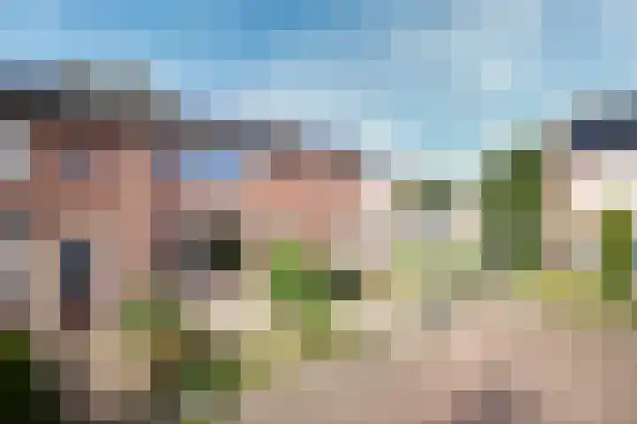 De Wal 3 Vollenhove thumbnail 5