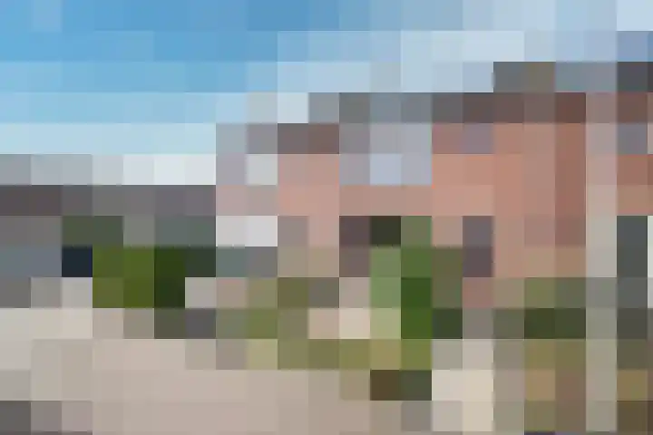De Wal 3 Vollenhove thumbnail 6