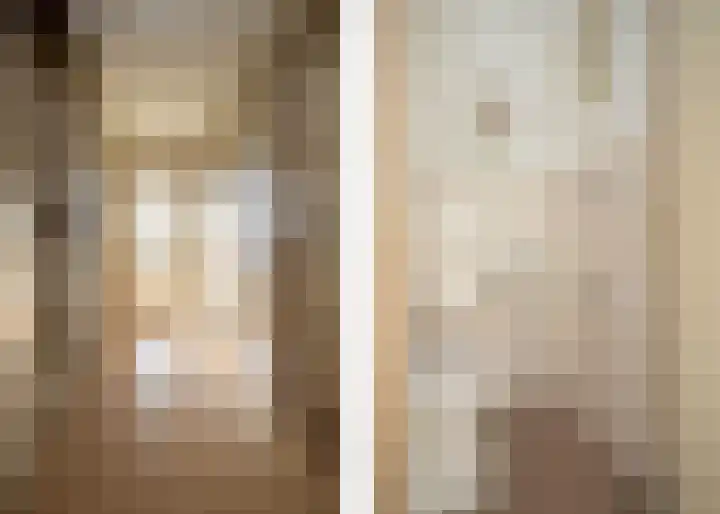 De Wal 3 Vollenhove thumbnail 7