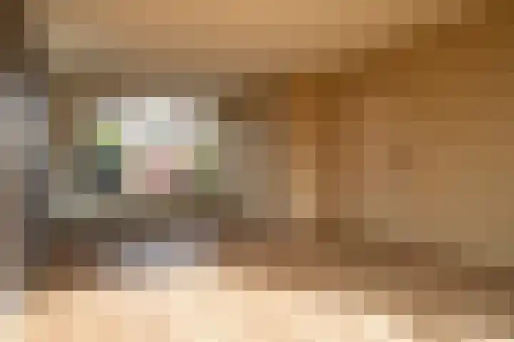 De Wal 3 Vollenhove thumbnail 8