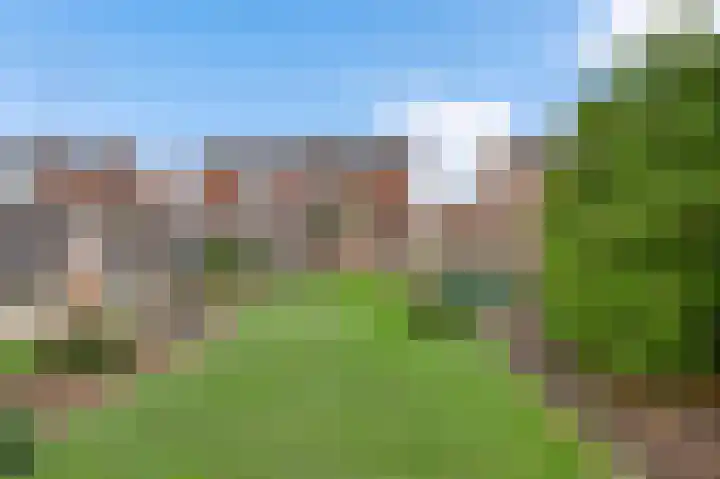 De Wal 41 Neeritter thumbnail 4