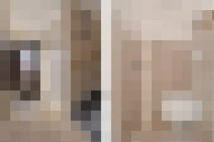 De Wal 9 Vollenhove thumbnail 10