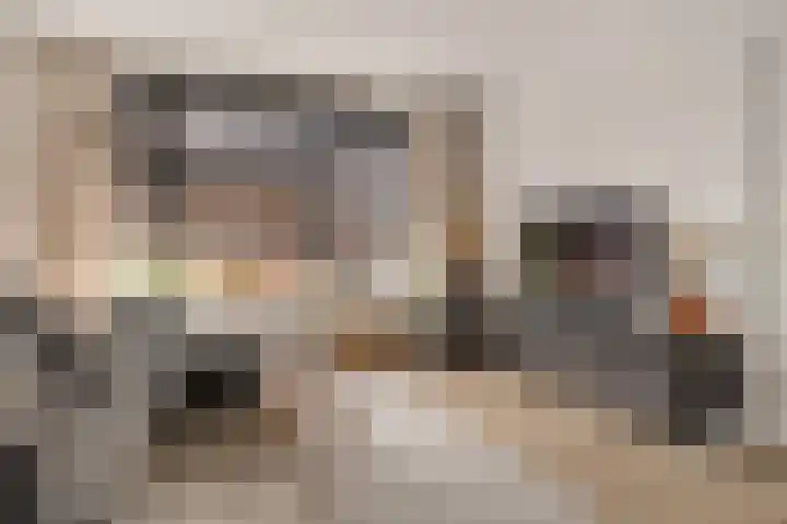 De Wal 9 Vollenhove thumbnail 11