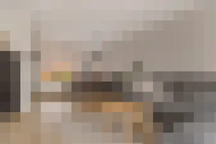 De Wal 9 Vollenhove thumbnail 12
