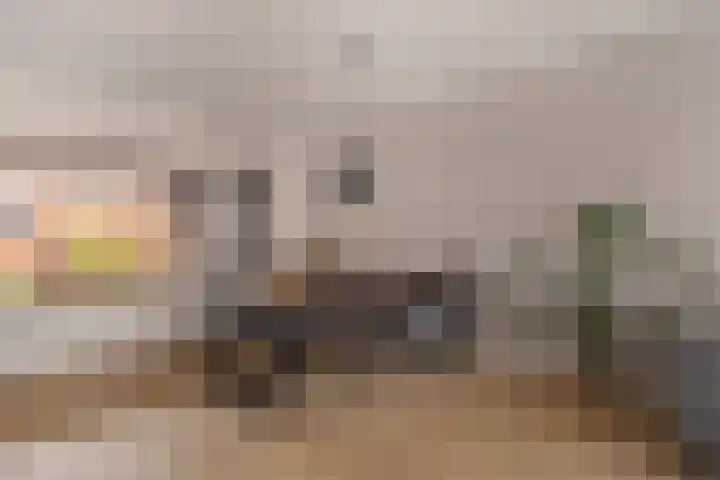 De Wal 9 Vollenhove thumbnail 13