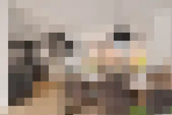 De Wal 9 Vollenhove thumbnail 14