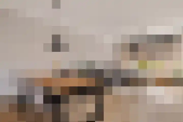 De Wal 9 Vollenhove thumbnail 15
