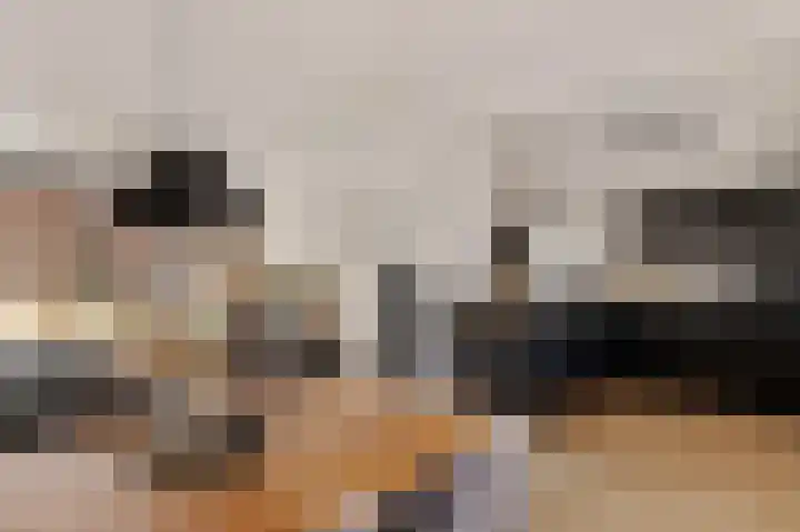 De Wal 9 Vollenhove thumbnail 16