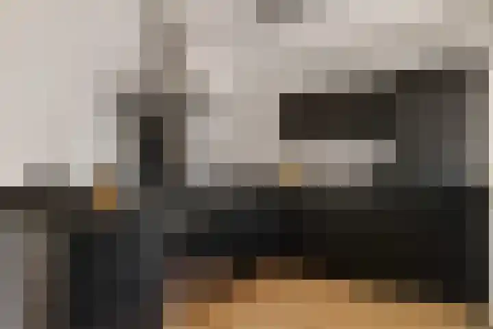 De Wal 9 Vollenhove thumbnail 17