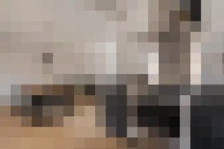 De Wal 9 Vollenhove thumbnail 18