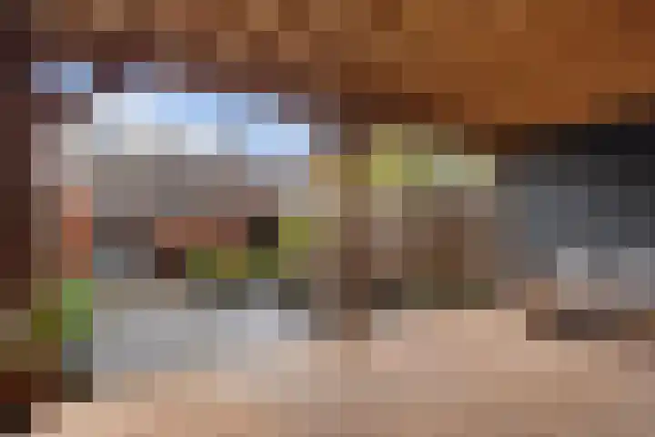 De Wal 9 Vollenhove thumbnail 19