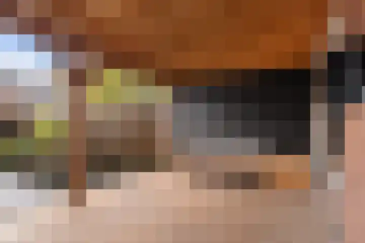 De Wal 9 Vollenhove thumbnail 20