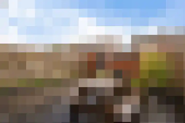 De Wal 9 Vollenhove thumbnail 22