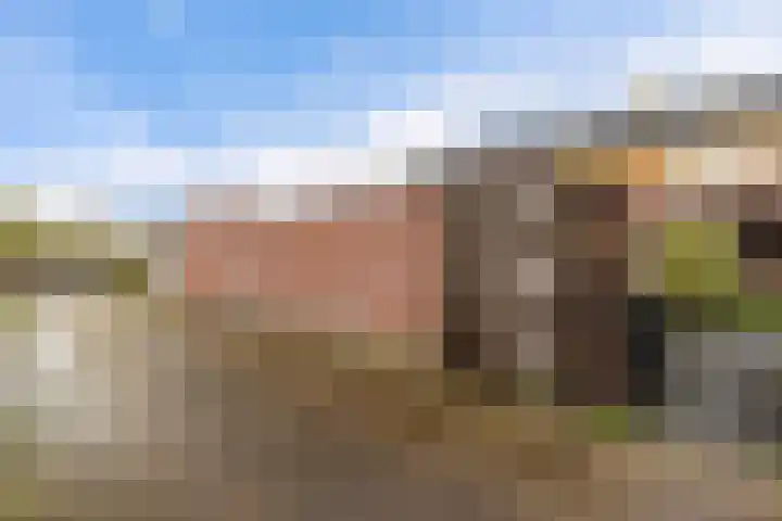 De Wal 9 Vollenhove thumbnail 23