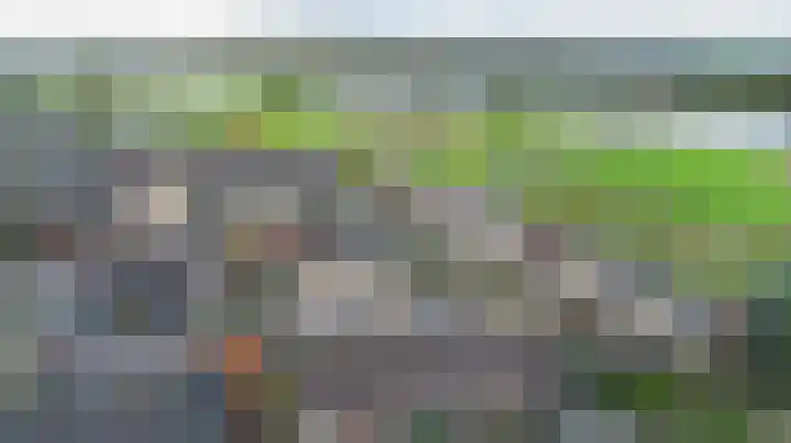 De Wal 9 Vollenhove thumbnail 24
