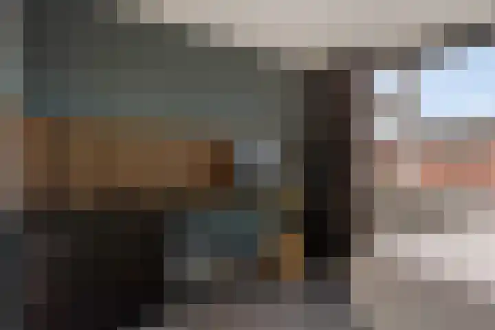 De Wal 9 Vollenhove thumbnail 28