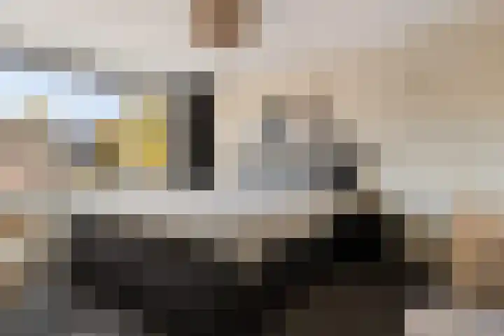 De Wal 9 Vollenhove thumbnail 29