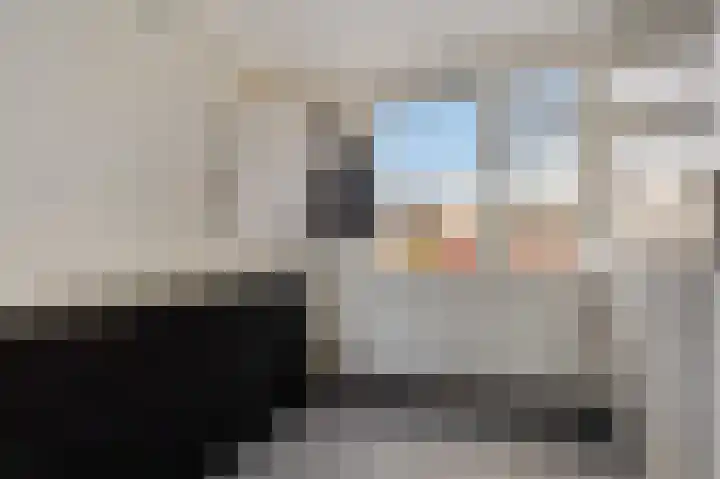 De Wal 9 Vollenhove thumbnail 31