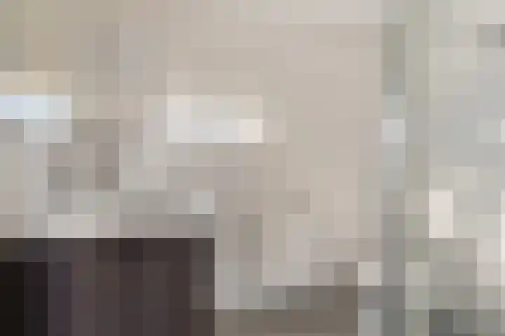 De Wal 9 Vollenhove thumbnail 32