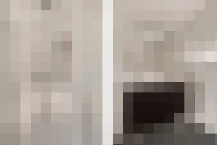 De Wal 9 Vollenhove thumbnail 33