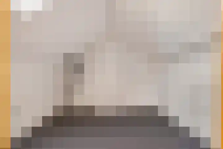 De Wal 9 Vollenhove thumbnail 35