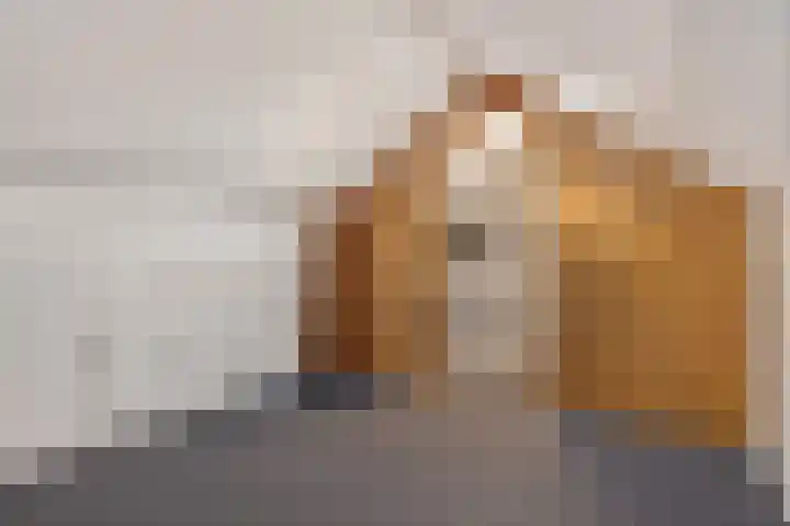 De Wal 9 Vollenhove thumbnail 36