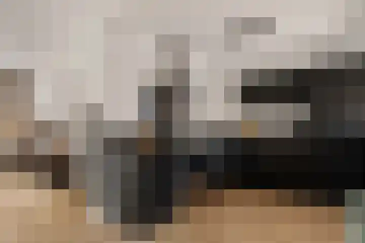 De Wal 9 Vollenhove thumbnail 4