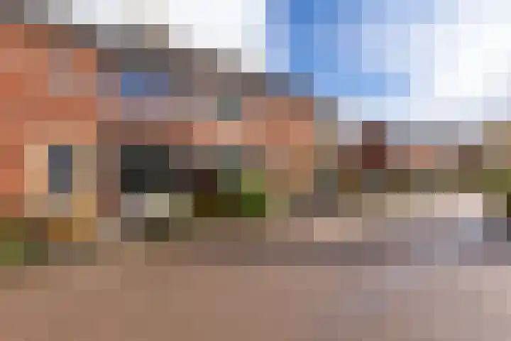 De Wal 9 Vollenhove thumbnail 6