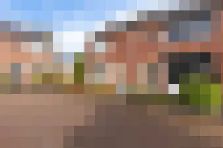 De Wal 9 Vollenhove thumbnail 7