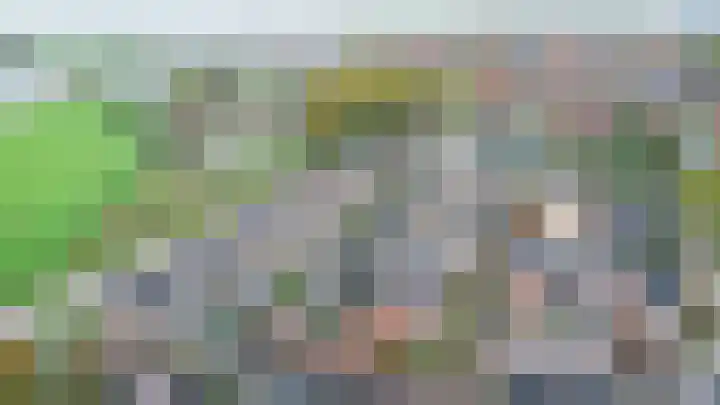 De Wal 9 Vollenhove thumbnail 8