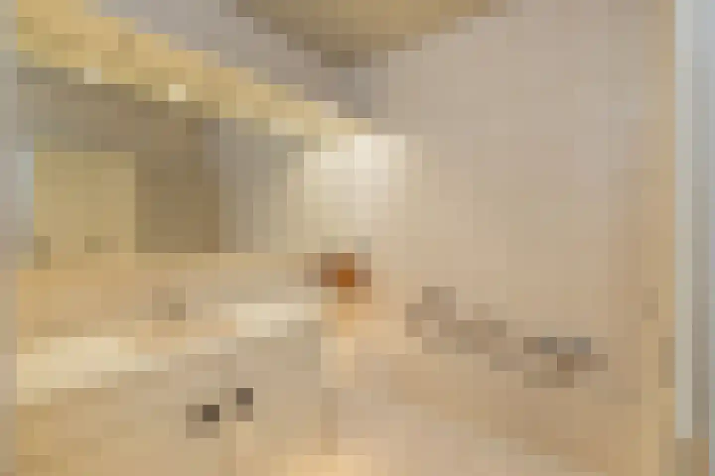 de Walestraat 2 Koudekerke thumbnail 22