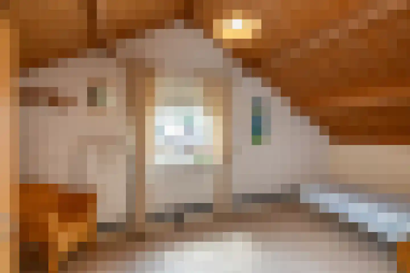 de Walestraat 2 Koudekerke thumbnail 25