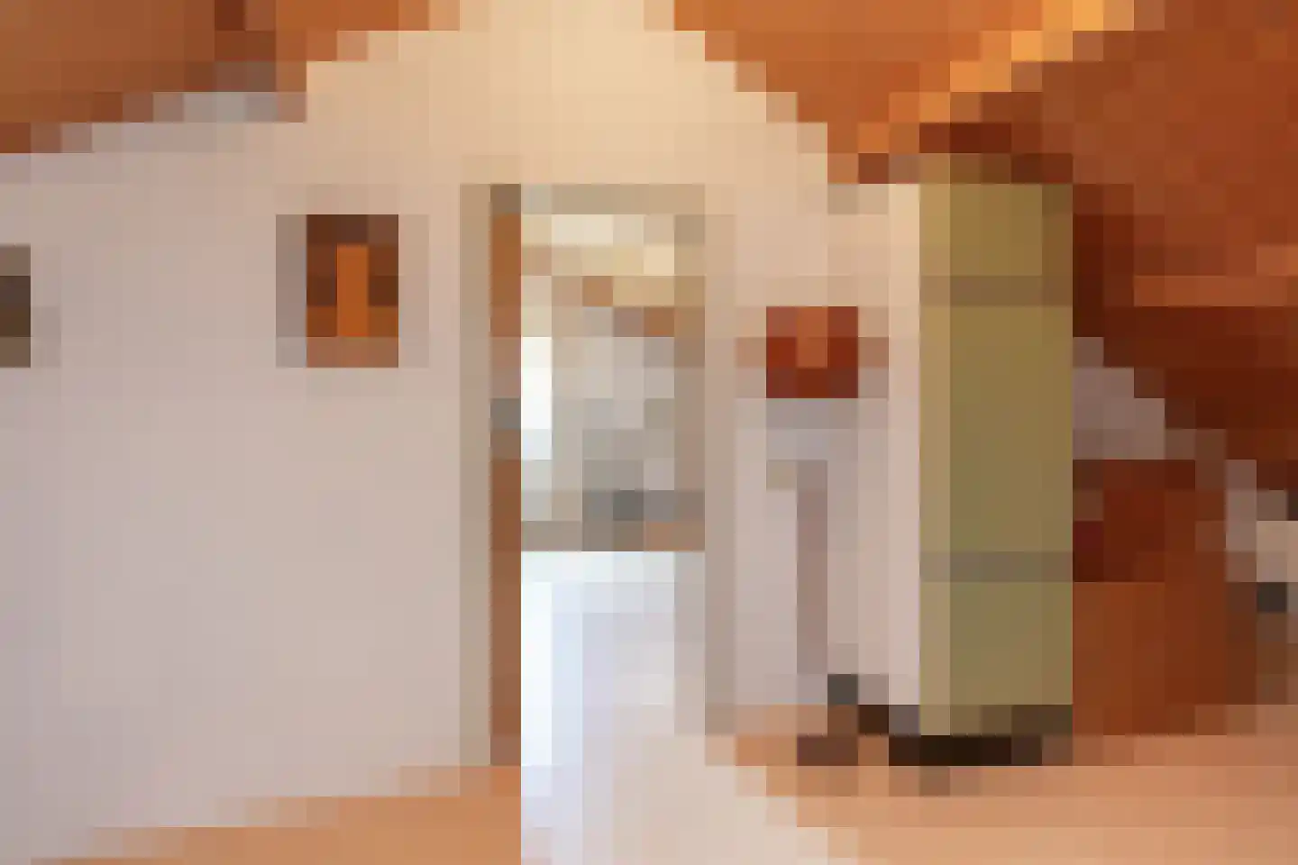 de Walestraat 2 Koudekerke thumbnail 28